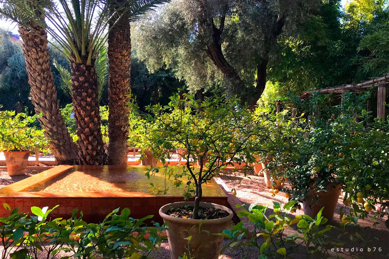 azul jardin majorelle estudio b76